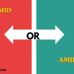amid or amidst