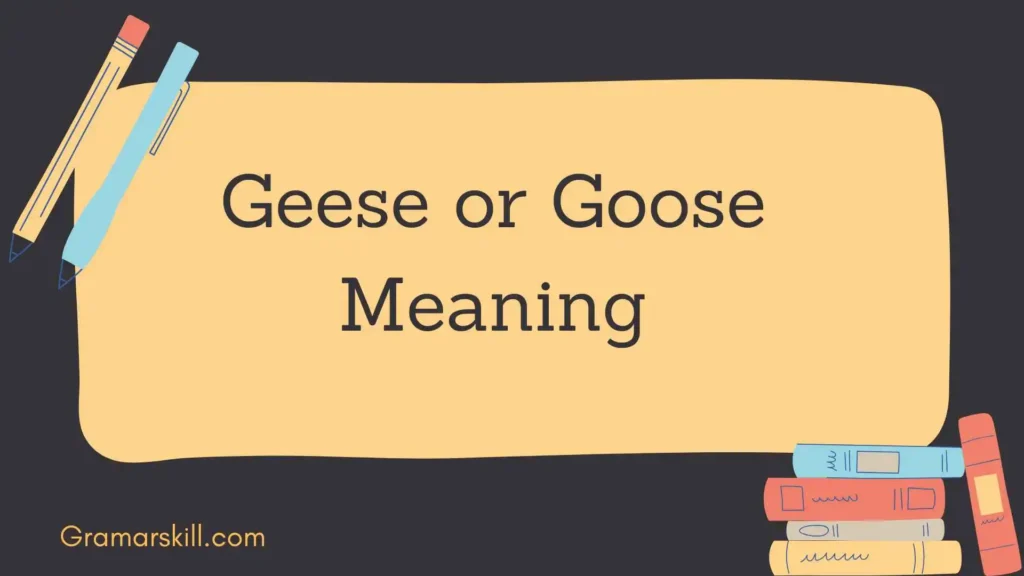Geese or Goose Meaning