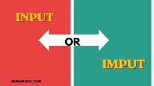 Input or Imput