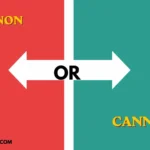 Canon or Cannon