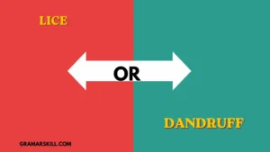 How to Know if You Have Lice or Dandruff