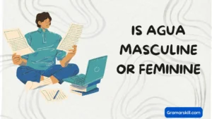 Is Agua Masculine or Feminine
