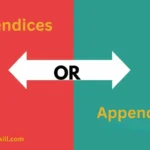 Appendices or Appendixes