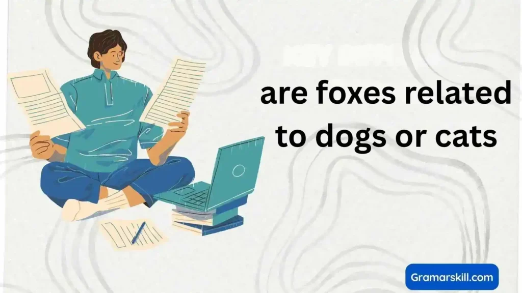 are foxes related to dogs or cats