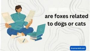 are foxes related to dogs or cats