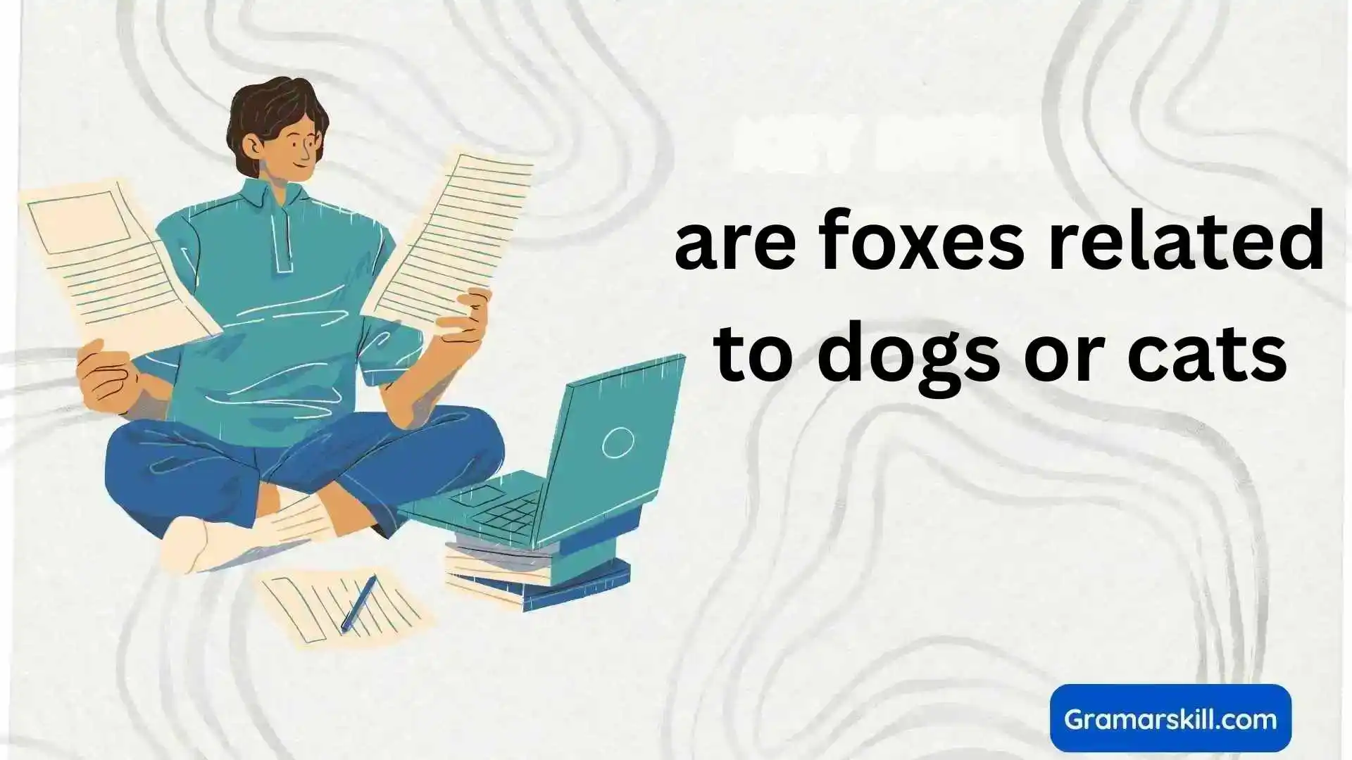 are foxes related to dogs or cats