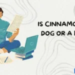 is cinnamoroll a dog or a bunny